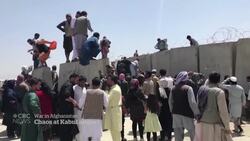 Desperate Afghans flock to Kabul airport in attempts to flee News Clip