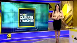 Meet 'Little Lady', The Sanctuary's Newest Cub News Clip