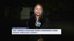 Dozens of animals found in horrific conditions at Edison home News Clip