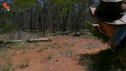 BEARDED DRAGON - Finally Caught One! Instructional Video