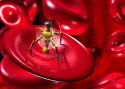 Nanotechnology Instructional Video