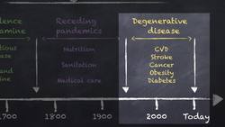 Epidemiological transition Instructional Video