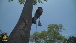 Planet SOS: Guatemala's illegal animal trade News Clip