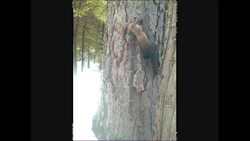 Time-Lapse Video Instructional Video