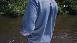 Finding a good spot to fish in Florida Instructional Video