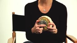 How to Open a Plugged Duct within the Breast Instructional Video