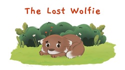 The Lost Wolfie Instructional Video