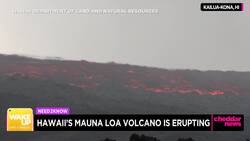 Need2Know November 29, 2022 News Clip