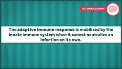 How Vaccines Work with Your Immune System Instructional Video