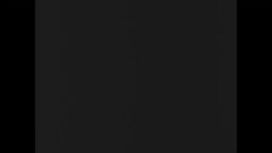 Swaps wins Kentucky Derby in 1955 News Clip