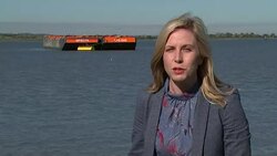 Beluga whale spotted in the Thames 'swimming strongly and feeding normally' Stock Footage