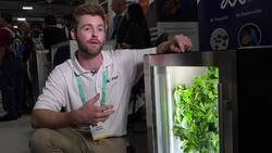 Grow herbs in your kitchen with hydroponics farm News Clip