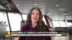 A23A Iceberg's Journey From Antarctica To South Georgia News Clip