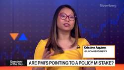 PMIs Fuel Debate on Central Bank Policy News Clip