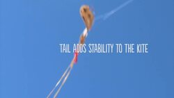 The Physics of Kite Flying Instructional Video