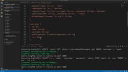 Practical GraphQL - Become a GraphQL Ninja - Using Custom Scalars and Serving Images Instructional Video