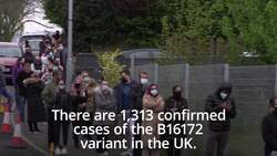 Indian coronavirus variant: All you need to know News Clip