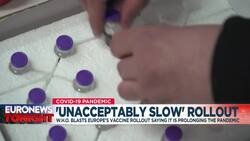 COVID vaccine rollout 'unbearably slow' in Europe as cases rise, warns WHO News Clip
