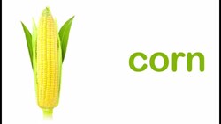 Exploring a Variety of Fresh Vegetables Instructional Video