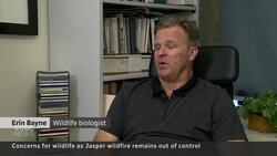 Wildlife begins returning to Jasper as wildfire cleanup continues Instructional Video