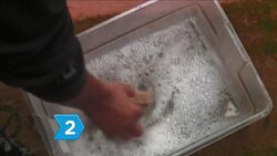 How to Replace Weather Stripping Instructional Video