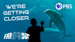 How Talking With Animals Would Change Our World Instructional Video