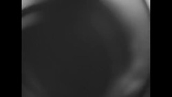 Former King Farouk of Egypt leaves Capri and takes over hotel at Santa Marinella in Italy News Clip