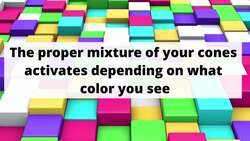 Rainbow Colors: Why Don't You See All Colors In The Rainbow? Instructional Video