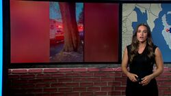 City officials: 22 rescued during boat fire near City Island News Clip