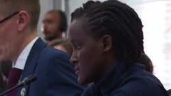 CLEAN : COP 27: "Will you be on the right side?" climate activist calls on leaders News Clip