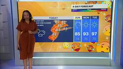Humid, stormy Sunday in Connecticut News Clip