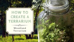How to Create a Closed Terrarium Instructional Video