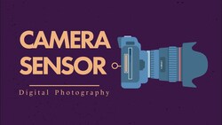 Understanding Camera Sensors: Size, Resolution, and Quality Instructional Video