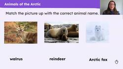Arctic wildlife Instructional Video