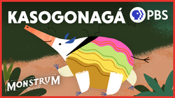 Kasogonagá: Sky Deity and Absolute Cutie Instructional Video