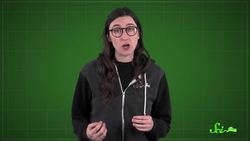 Why Nutrition Studies Keep Contradicting Each Other Instructional Video