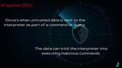 Practical Cyber Hacking Skills for Beginners - OWASP Top 10 Instructional Video