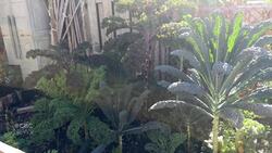 Life in Limberlost: A garden that feeds the community News Clip