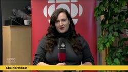 Yukon's political parties' platforms, explained News Clip