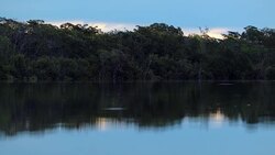 Scenic beautiful lake during sunset in 4K. Trees reflection in water Stock Footage
