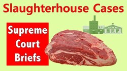 How Animal Guts Gutted the 14th Amendment | The Slaughterhouse Cases Instructional Video