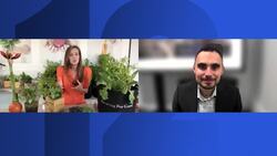 Companies are using gardening to improve their employees well being News Clip