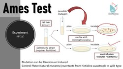 Ames Test Instructional Video