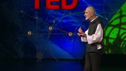 TED: Want to be happy? Be grateful | David Steindl-Rast Instructional Video