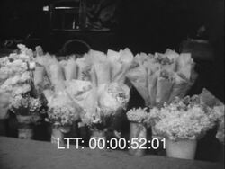 Trip Through Holland, 1928. Stock Footage