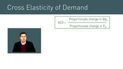 Example Elasticity Problems and How to Solve Them Using Elasticity Triangles Instructional Video