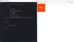 Frontend Web Development Bootcamp - Build a Twitter Clone - Transforms - Part 1 Instructional Video