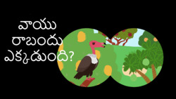 What vultures do? - Telugu Instructional Video