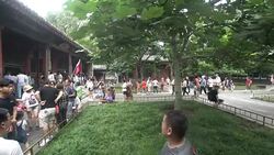 The Summer Palace Stock Footage