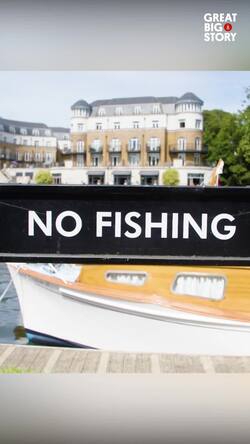Swan upping, the queen's tradition of protecting swans on the thames Instructional Video